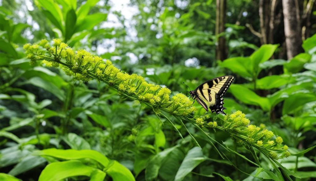 Eastern caterpillar habitat