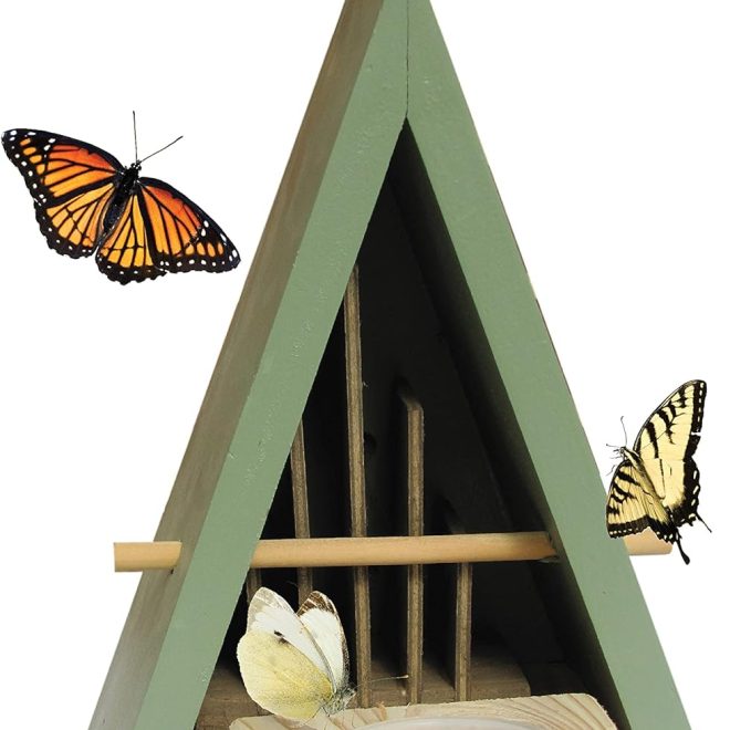 Butterfly House Essentials: A Guide to Features & Care