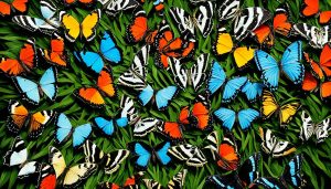 7 Rare Butterflies: Discover Exotic Species