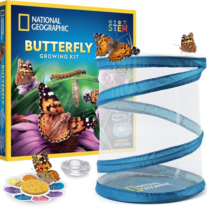 Butterfly Growing Kit: Ultimate Guide & Top Picks