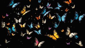 Understanding Butterflies in My Stomach Phenomenon
