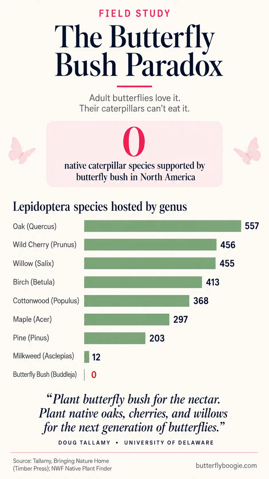 The Butterfly Bush Paradox infographic