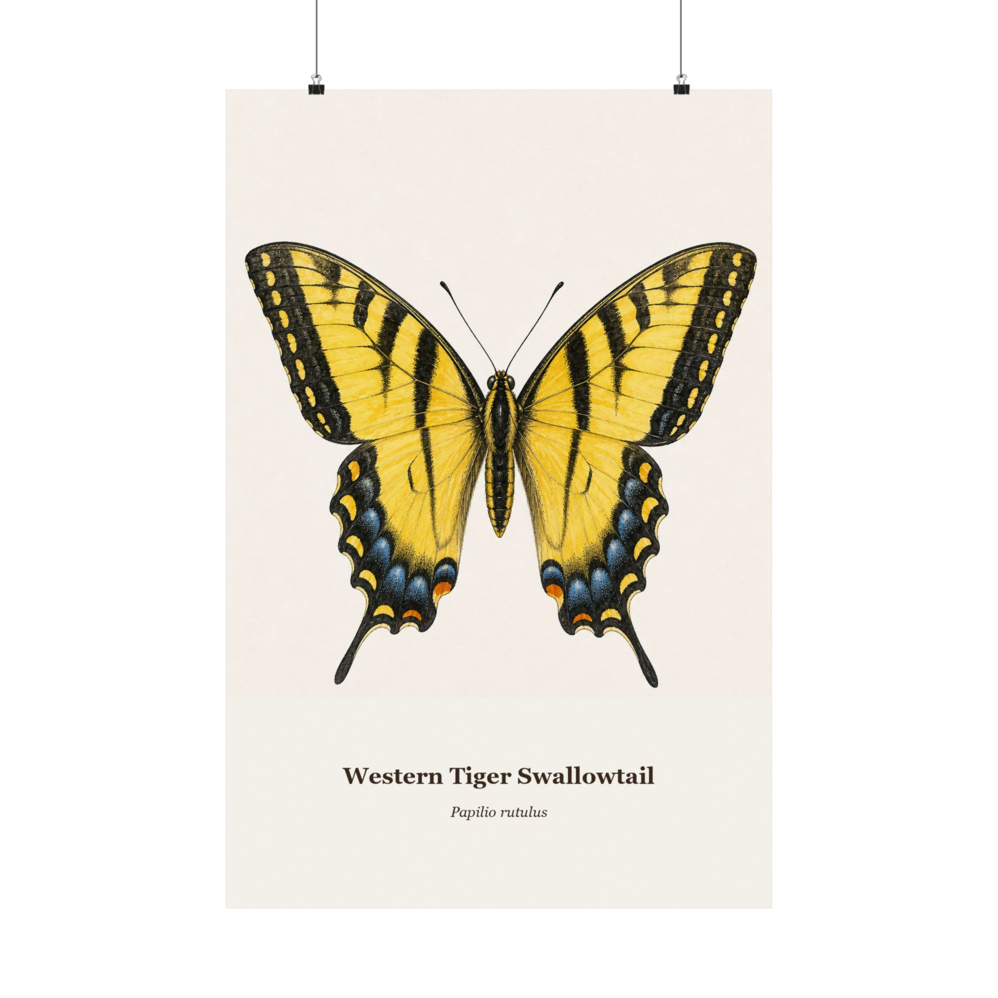 Western Tiger Swallowtail Watercolor Print - Image 9