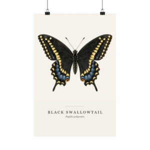 Black Swallowtail Watercolor Print - 12x18