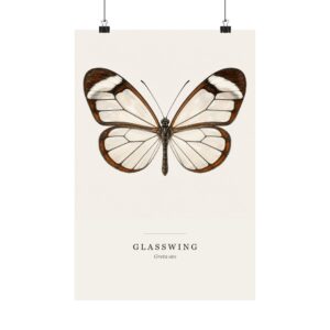 Glasswing Watercolor Print - 12x18