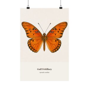 Gulf Fritillary Watercolor Print