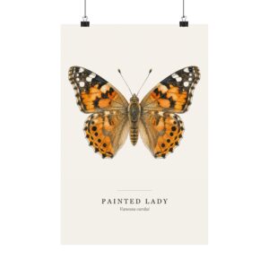 Painted Lady Watercolor Print - 12x18