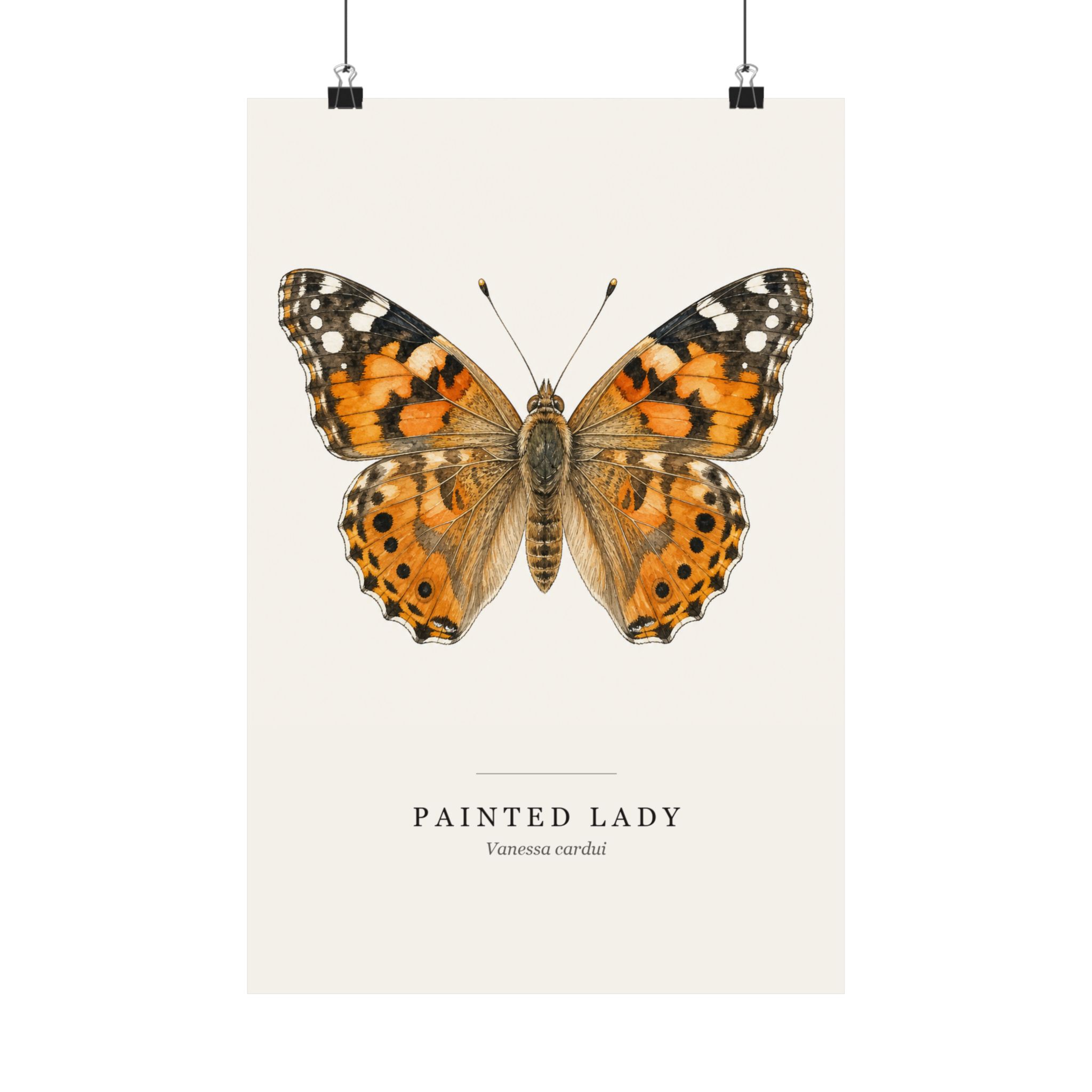 Painted Lady Watercolor Print - 12x18