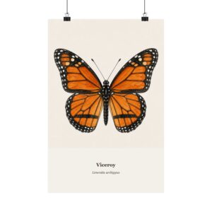 Viceroy Watercolor Print