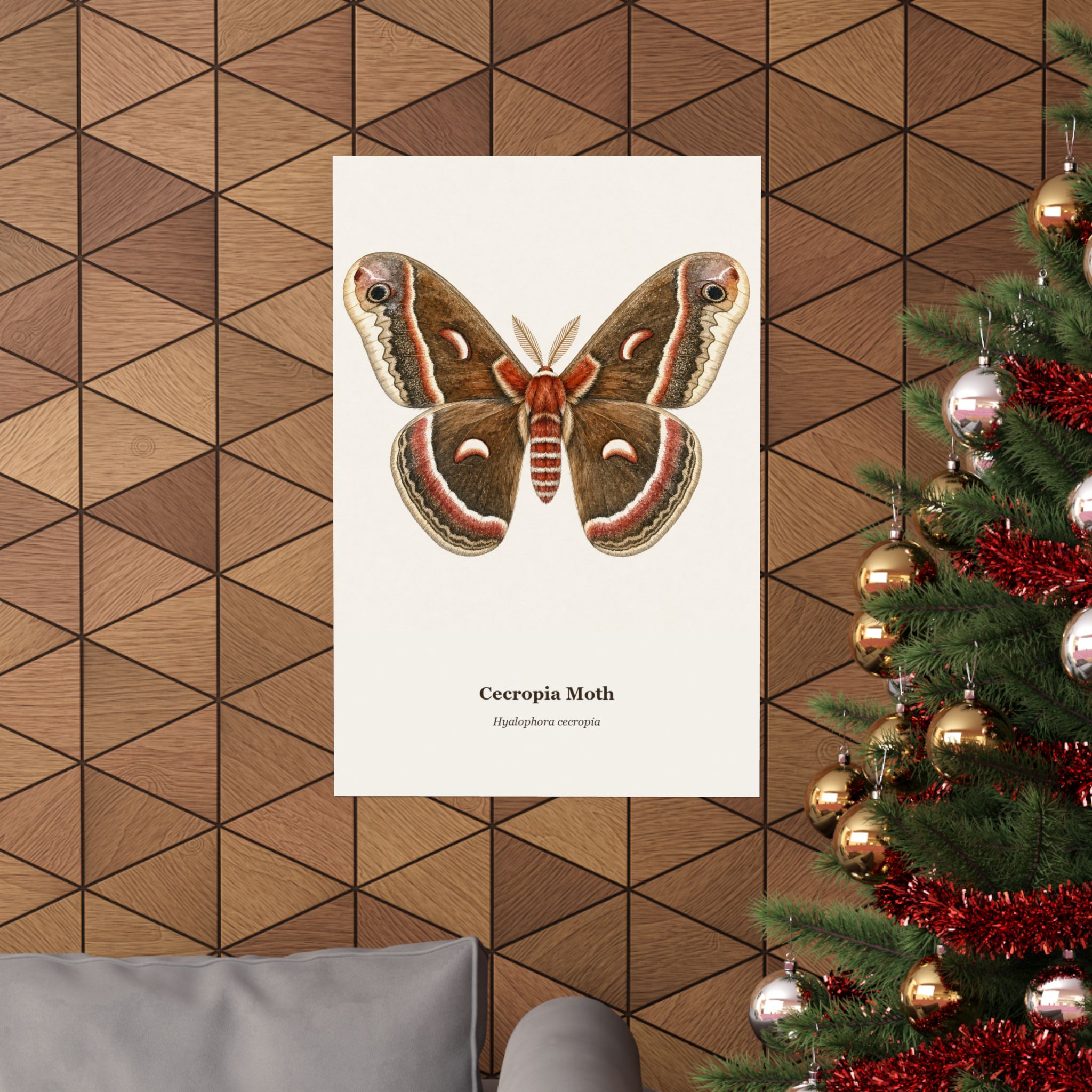 Cecropia Moth Watercolor Print - Image 8