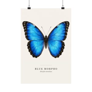 Blue Morpho Watercolor Print - 12x18