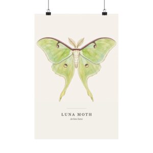 Luna Moth Watercolor Print - 12x18