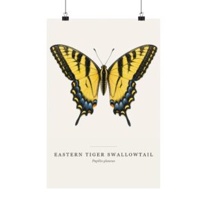 Eastern Tiger Swallowtail Watercolor Print - 12x18
