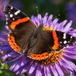 20 Interesting Facts About Butterflies (With Sources)
